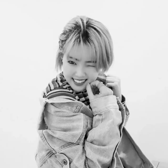 메이다니 프로필