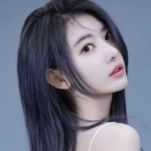 사쿠라 프로필