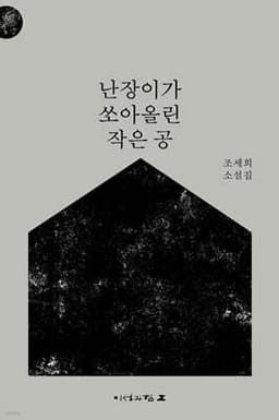 난장이가 쏘아올린 작은 공 표지