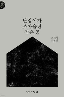 난장이가 쏘아올린 작은 공 표지
