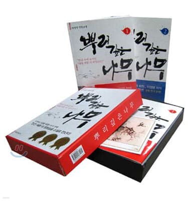 뿌리깊은 나무 표지