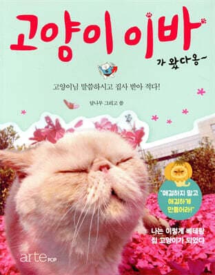 고양이 이바가 왔다옹 표지