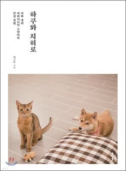 하쿠와 치히로 표지
