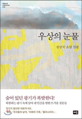 우상의 눈물 표지