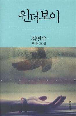 원더보이 표지