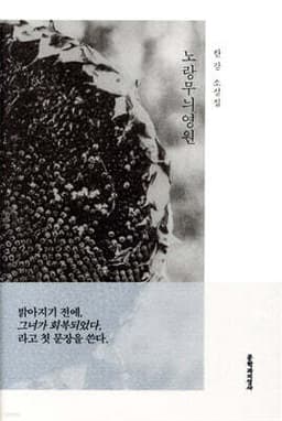 노랑무늬 영원 표지