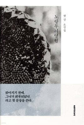 노랑무늬 영원 표지