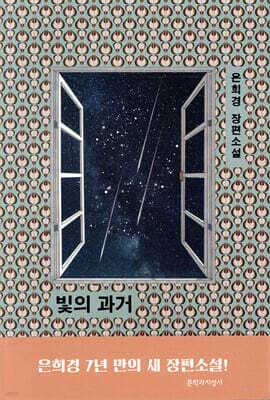 빛의 과거 표지