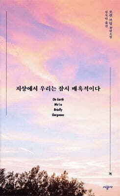 지상에서 우리는 잠시 매혹적이다 표지