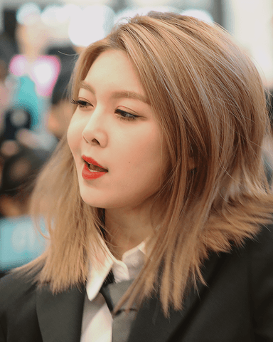 다미 프로필